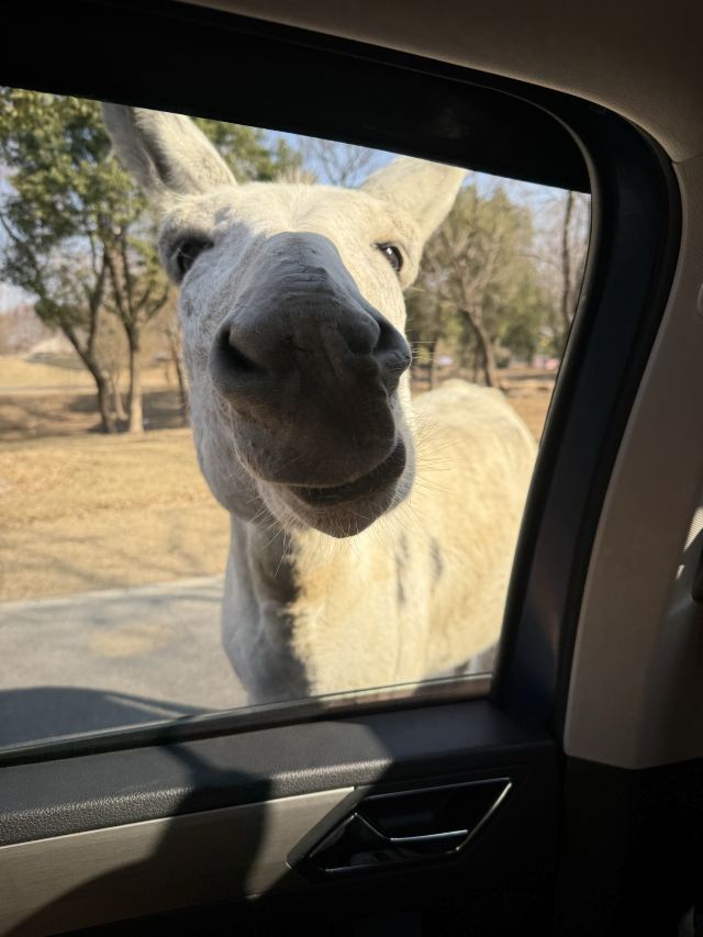 南通森迪旅游度假区旅行图片 1
