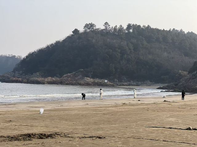 宁波松兰山滨海旅游度假区旅行图片 3