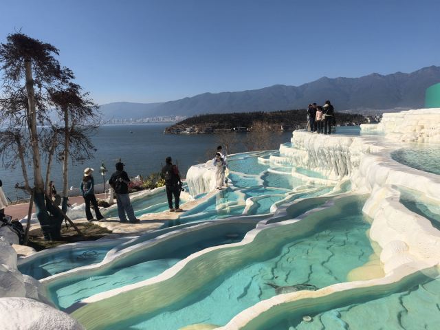 理想的花园旅行图片 2