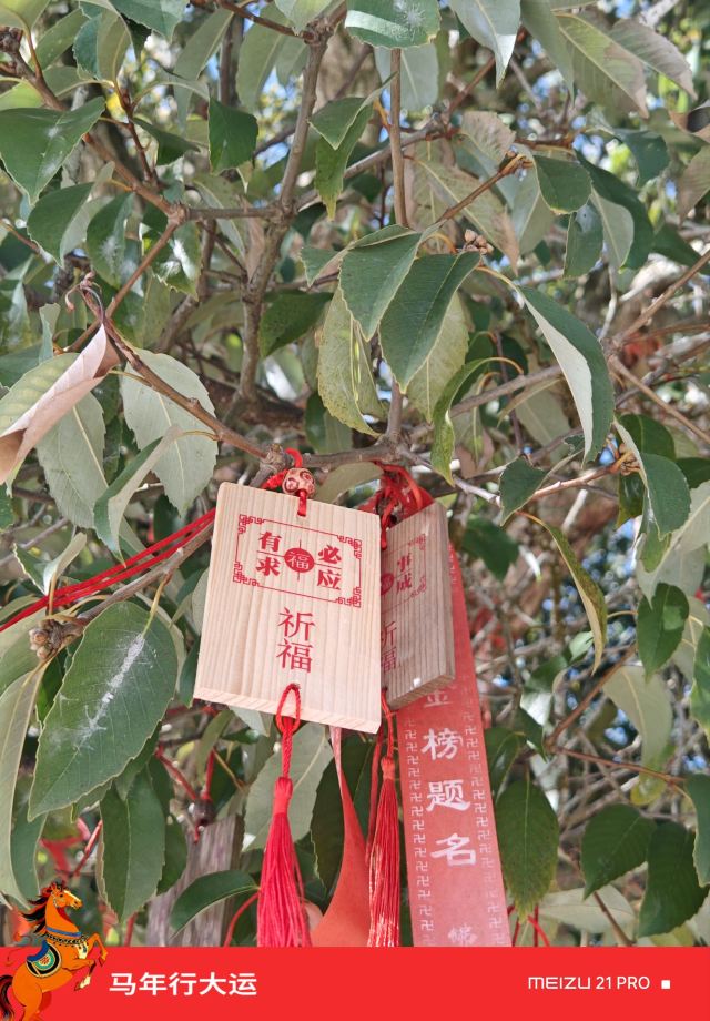 黄山市太平湖风景区旅行图片 4