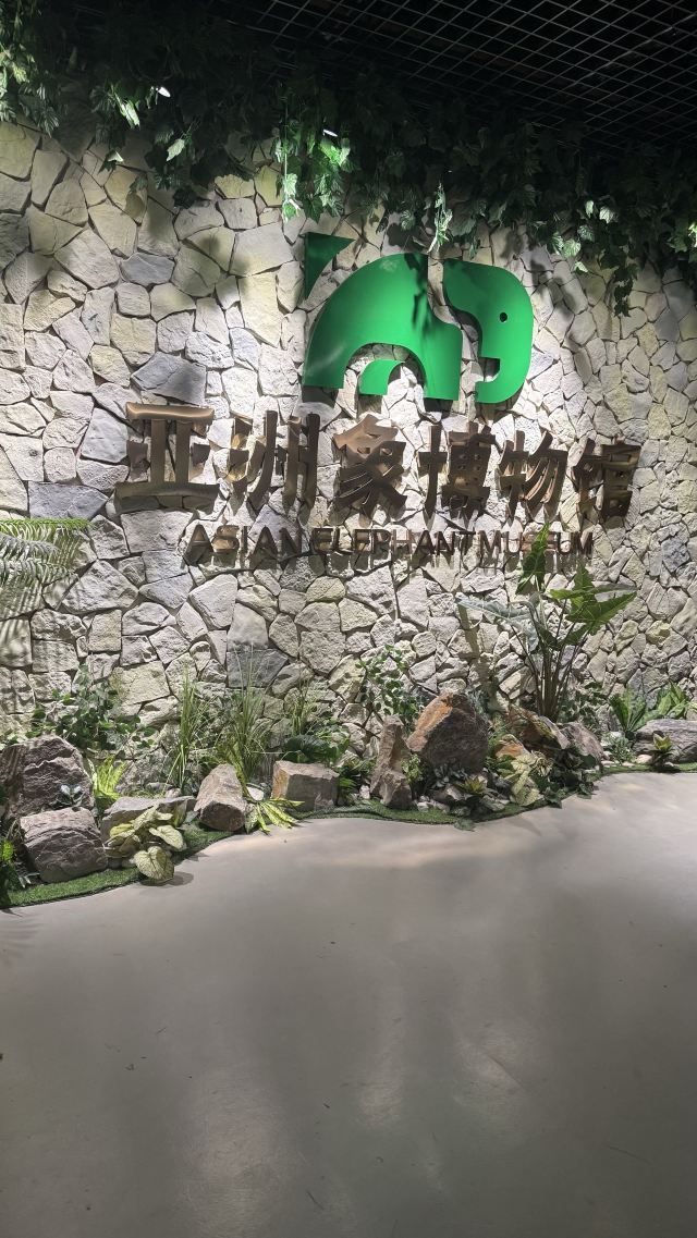 野象谷景区旅行图片 7