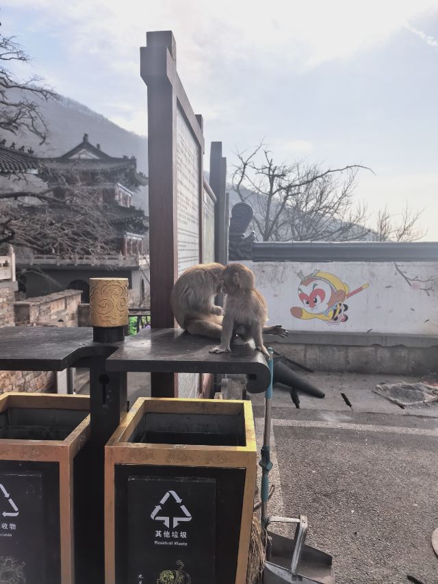 花果山风景区旅行图片 5