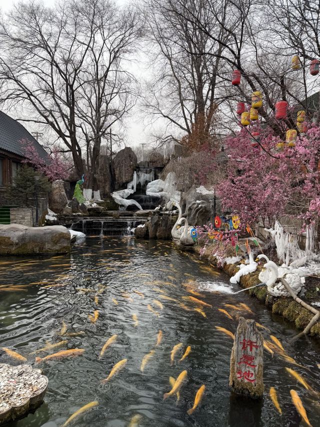 小市一庄旅行图片 1