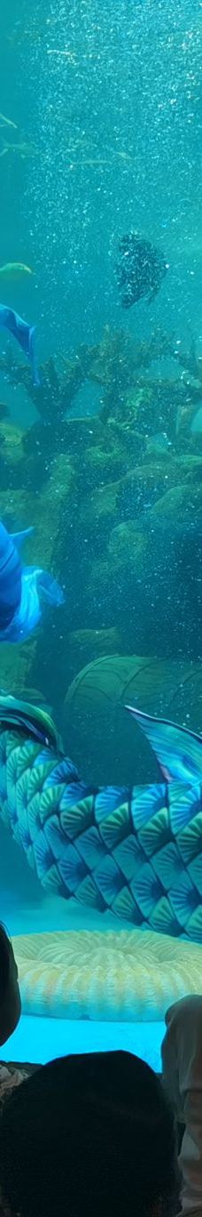 呼和浩特-YoYo_2X7W5Z8U