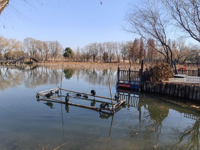 长兴太湖图影湿地文化园-观景塔旅行图片 1