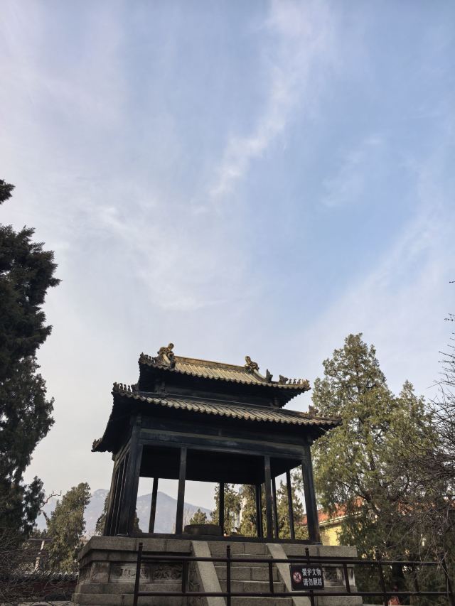 岱庙旅行图片 2