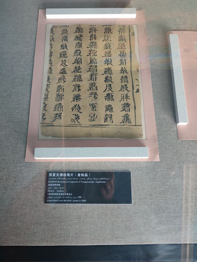 阿斯塔那古墓群(暂停开放)旅行图片 3
