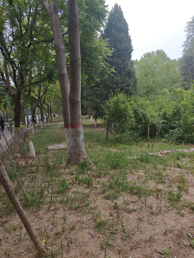 衡水野生动物园旅行图片 1