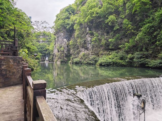 洒金公园旅行图片 6