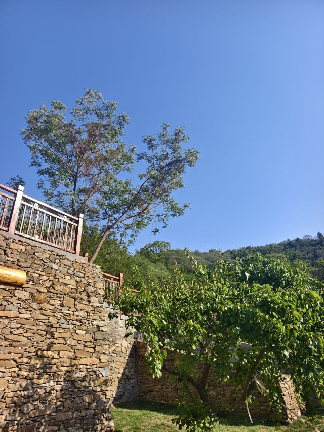 第一山景区旅行图片 2