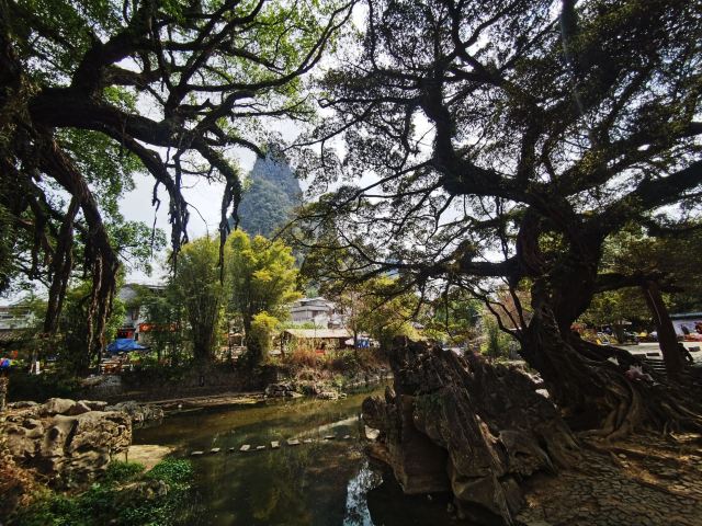 黄姚古镇景区旅行图片 1