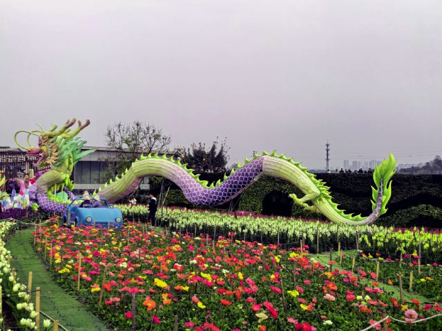 音乐·百花谷旅行图片 4