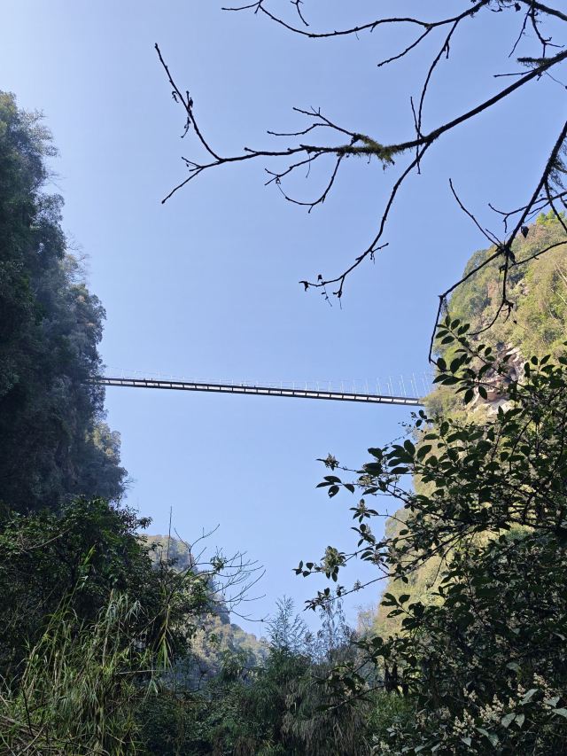 碧峰峡风景区旅行图片 2