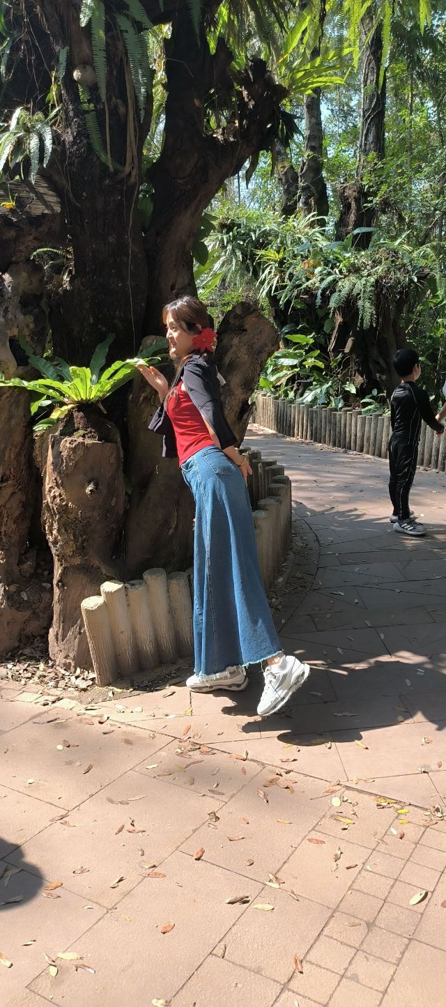 曼听御花园景区旅行图片 7