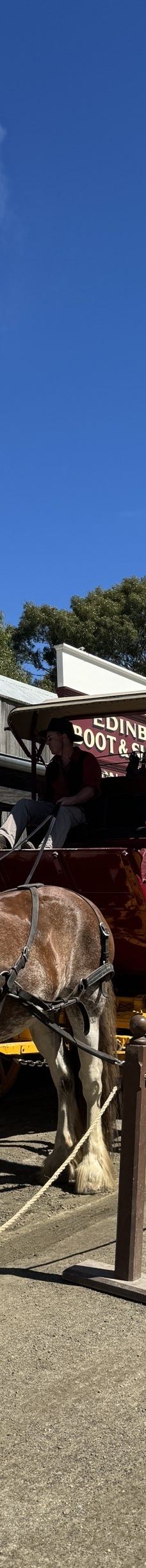 疏芬山-Golden Point-✨英伦范儿✨