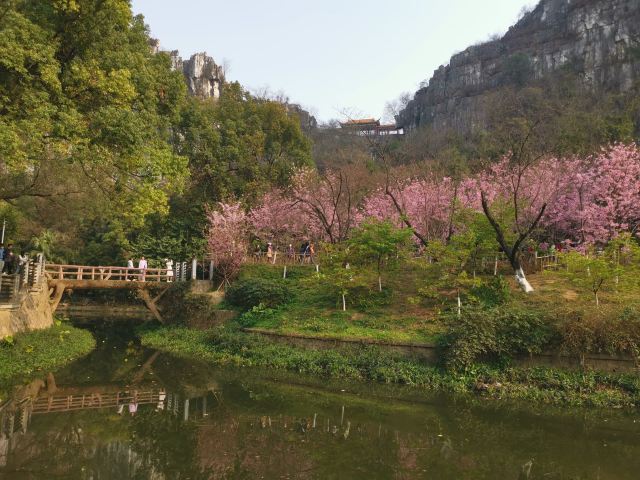 南溪山公园旅行图片 1
