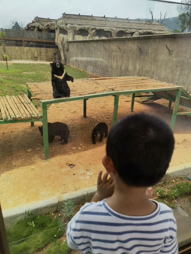 唯美养生谷旅游度假区旅行图片 3