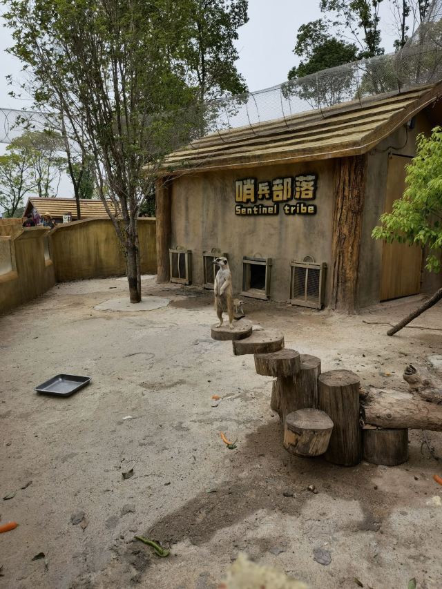 唯美养生谷旅游度假区旅行图片 1