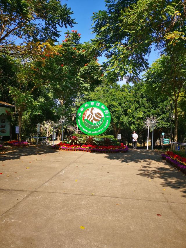 海南热带植物园旅行图片 2