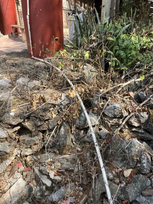 兴业县城隍镇鹿峰山风景区旅行图片 3