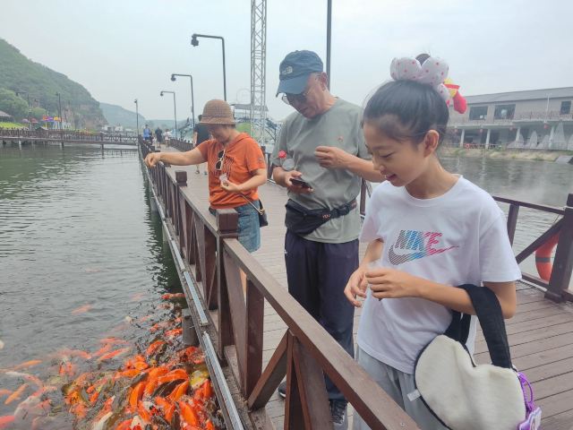 太子岛十里画廊旅行图片 2
