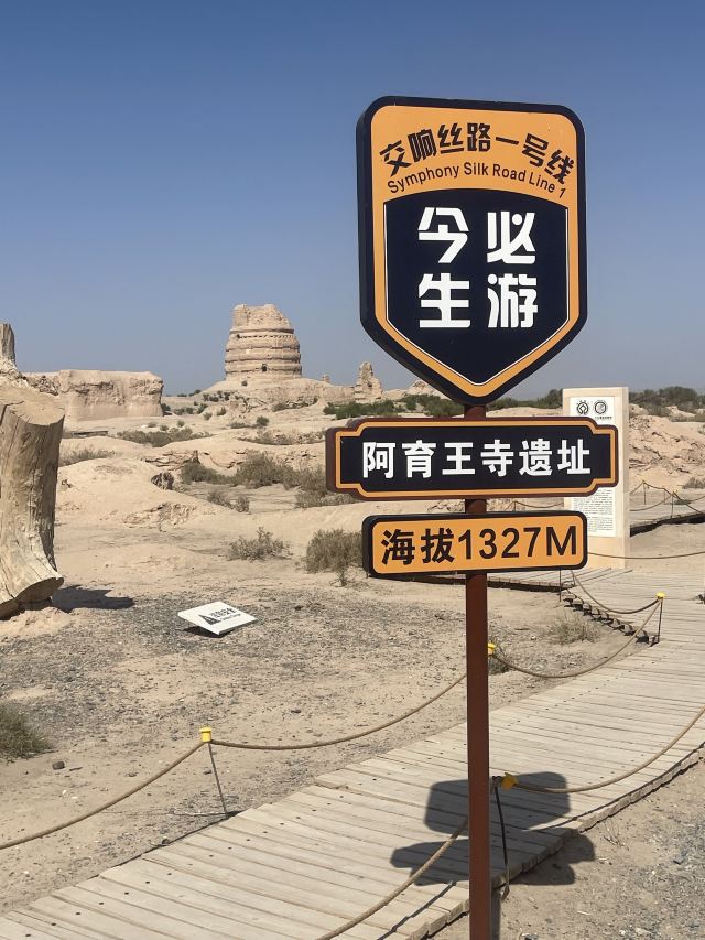 锁阳城遗址旅行图片 5