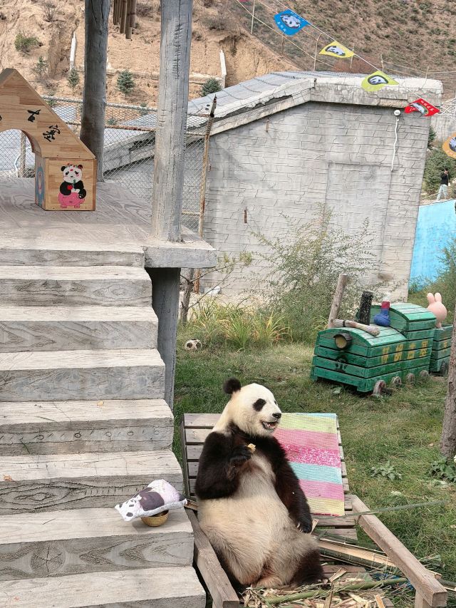 林胡古塞旅行图片 1
