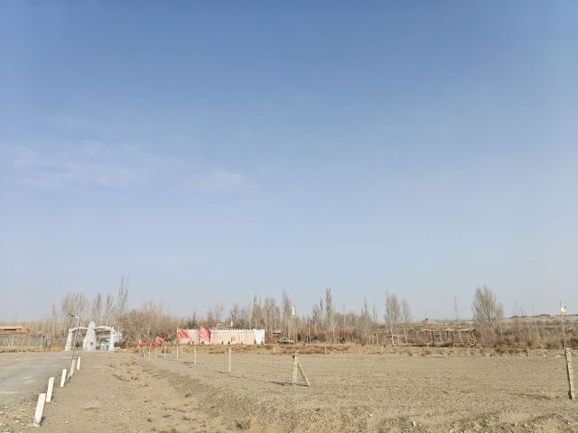 阳关关城旅行图片 3