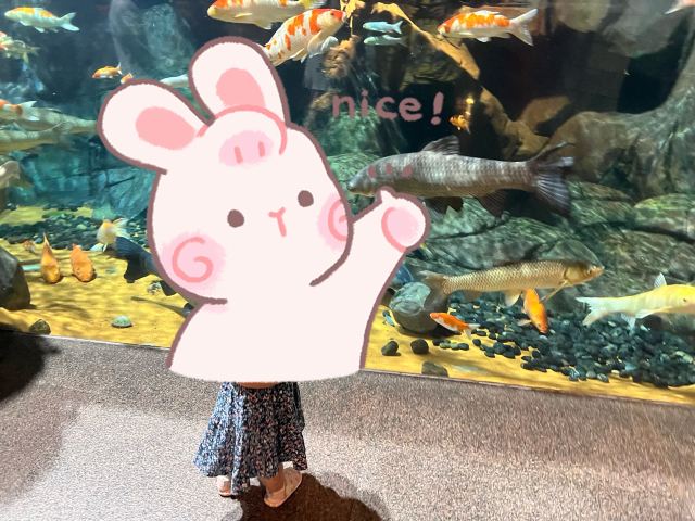 上海海洋水族馆旅行图片 1