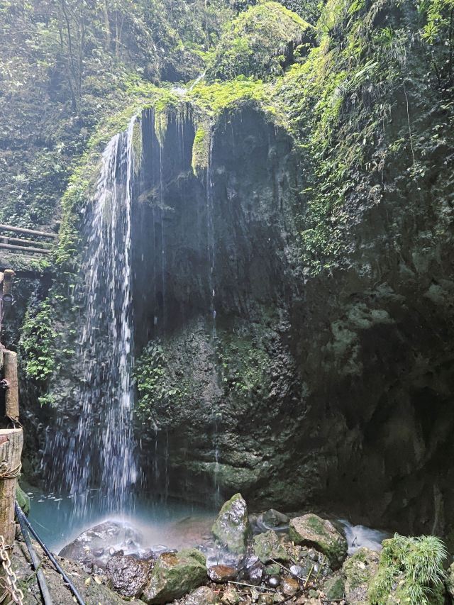 青城山景区旅行图片 4