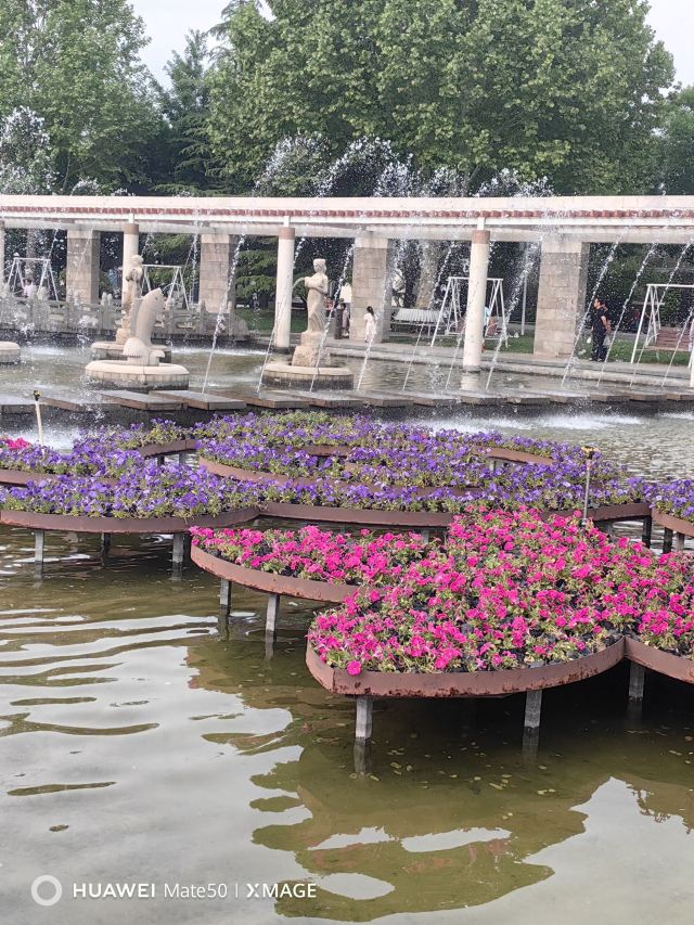 石家庄植物园旅行图片 2