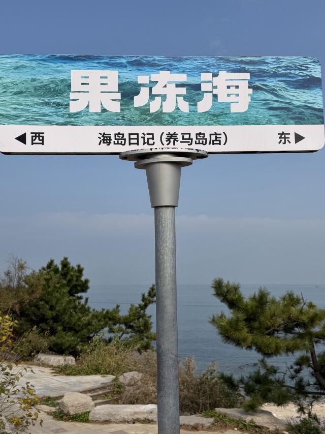 养马岛林间花海旅行图片 4