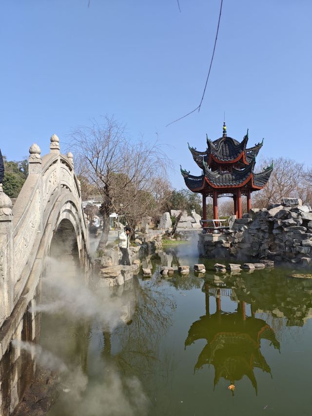 君山岛景区旅行图片 3
