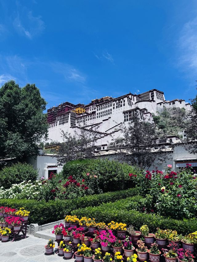 布达拉宫旅行图片 3