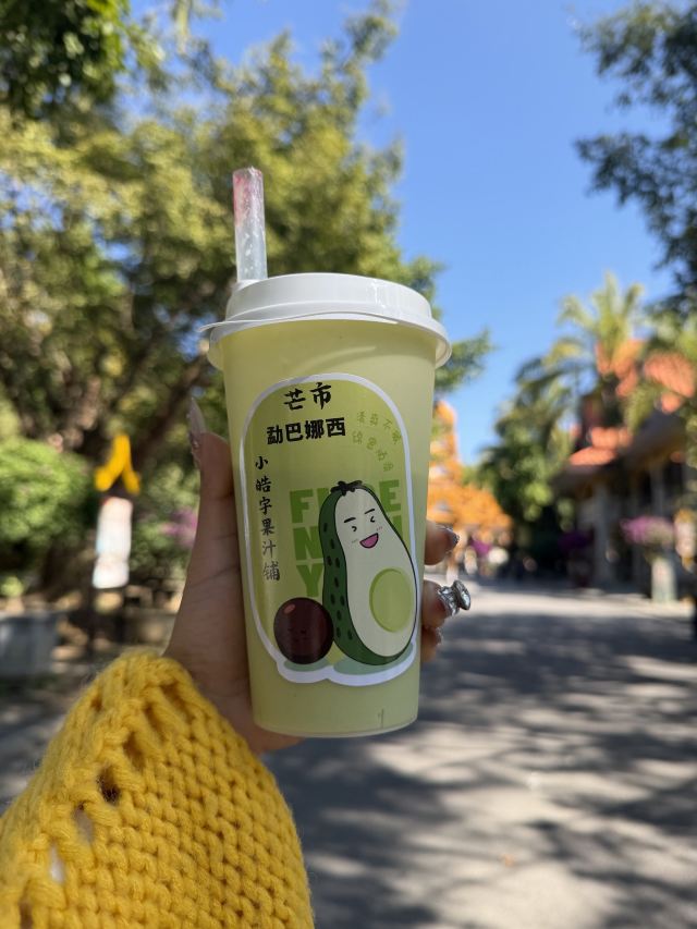 勐巴娜西珍奇园旅行图片 4