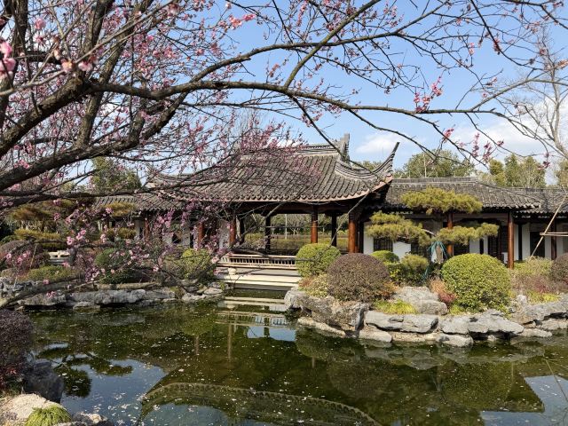 会稽山风景区旅行图片 5