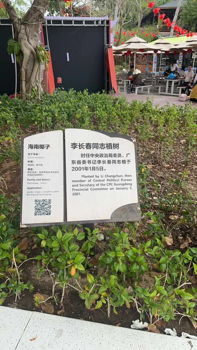 天涯海角游览区旅行图片 2