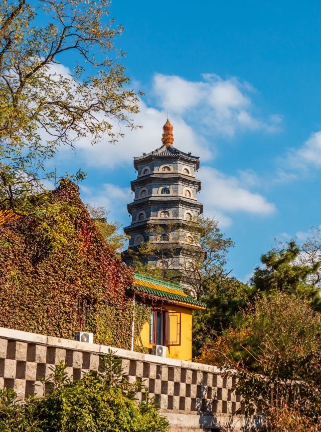 青岛湛山寺旅行图片 3