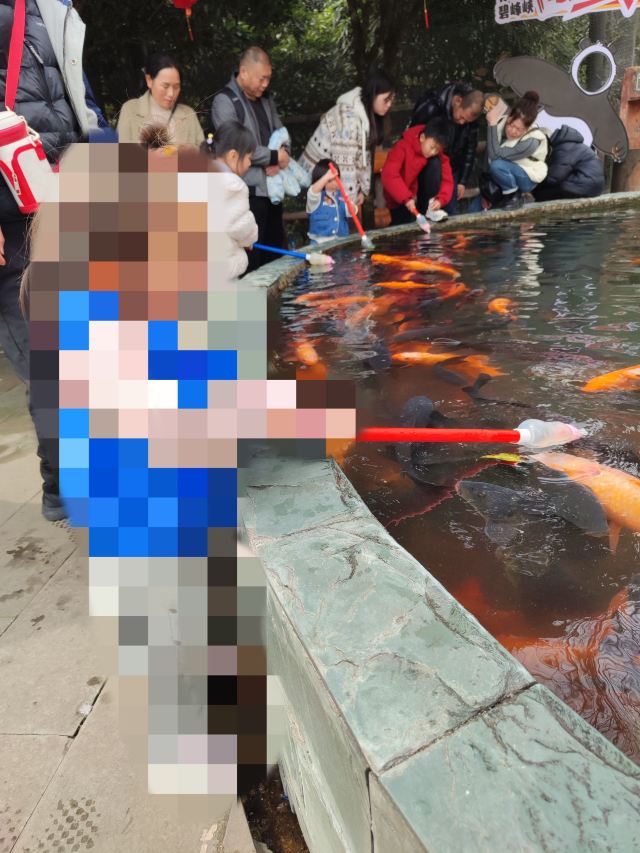 碧峰峡风景区旅行图片 1