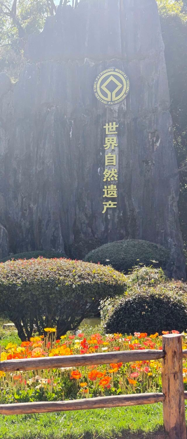 石林风景区旅行图片 3