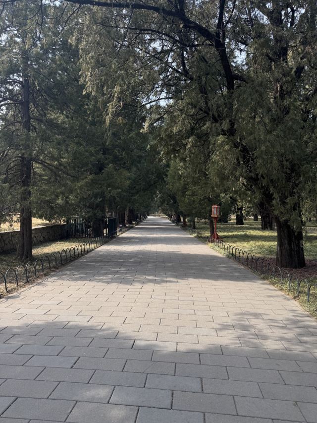 天坛公园旅行图片 6