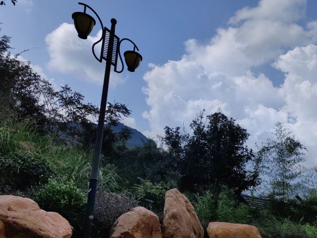 蓝山源岭南东方温泉旅行图片 1