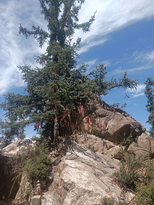 焉支山(暂停开放)旅行图片 7
