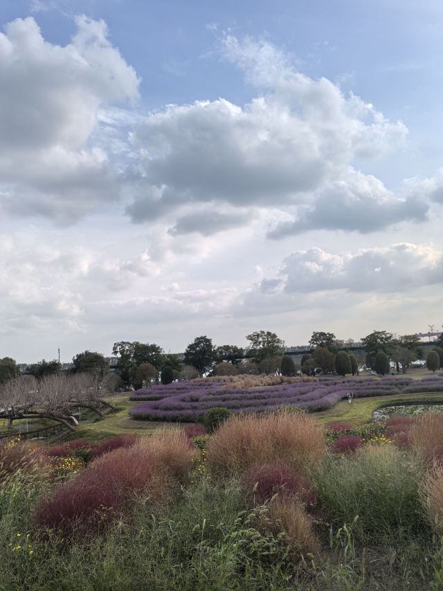 南通洲际梦幻岛旅行图片 4