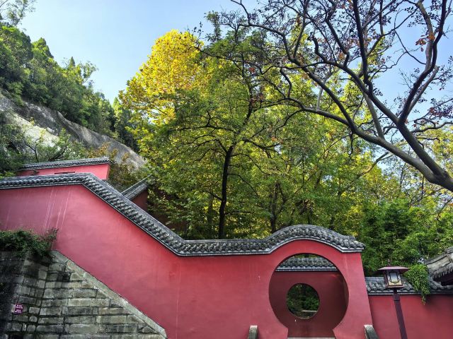 皇泽寺景区旅行图片 7