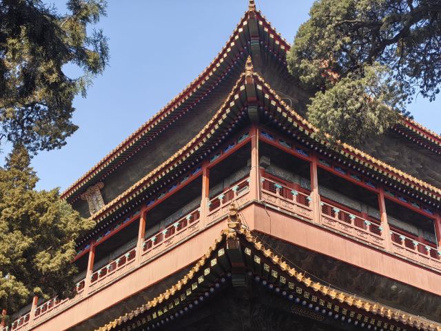 孔庙旅行图片 2