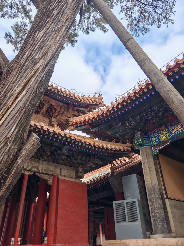孔庙旅行图片 5