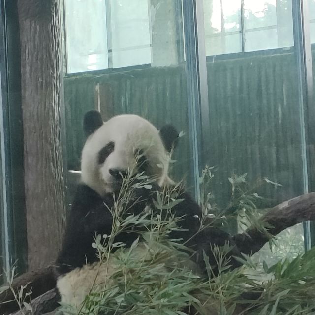 上海动物园旅行图片 4