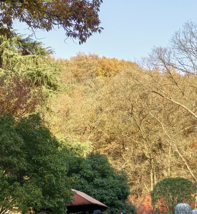 栖霞山风景名胜区旅行图片 3