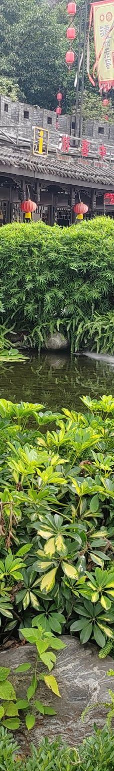 泸州老窖景区-泸州-达普李左车